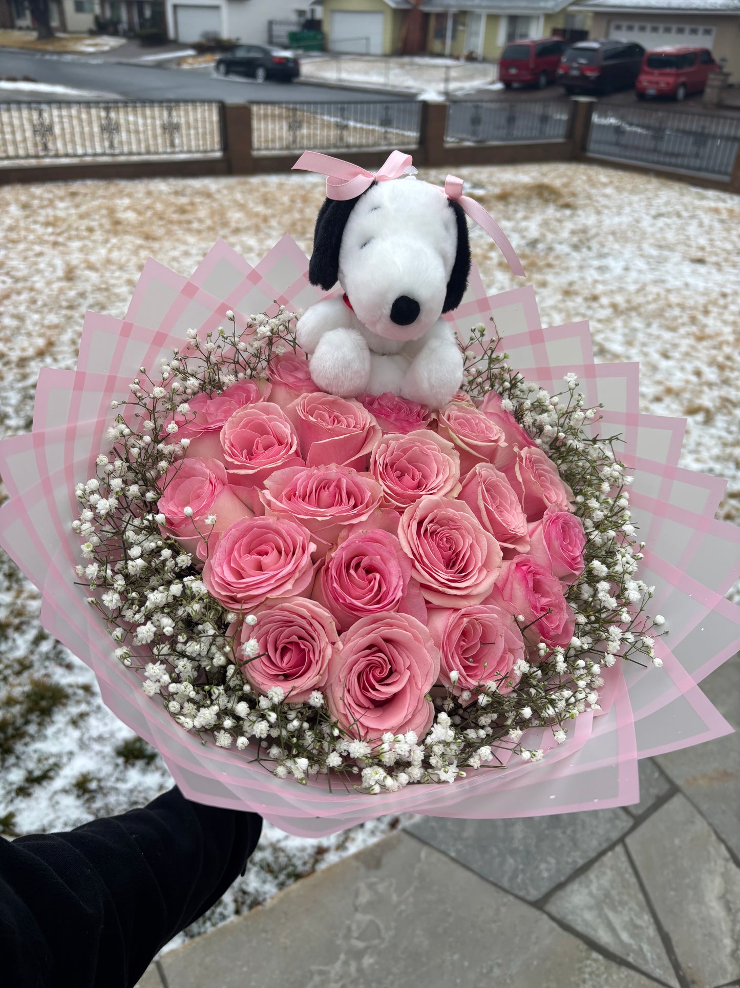 Snoopy & Rosas
(Dulzura en Rosas